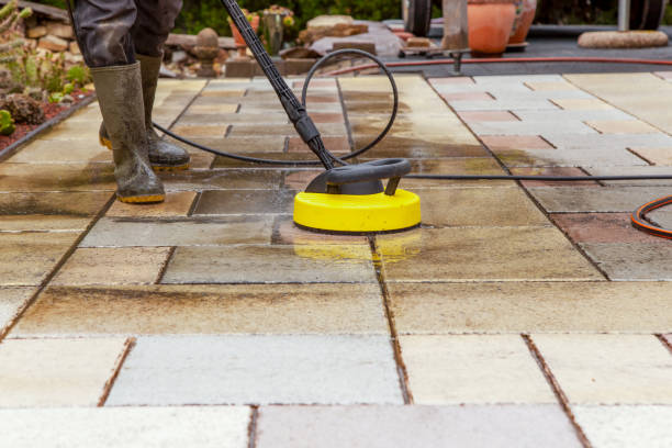 Best Dumpster Area Cleaning  in Bithlo, FL